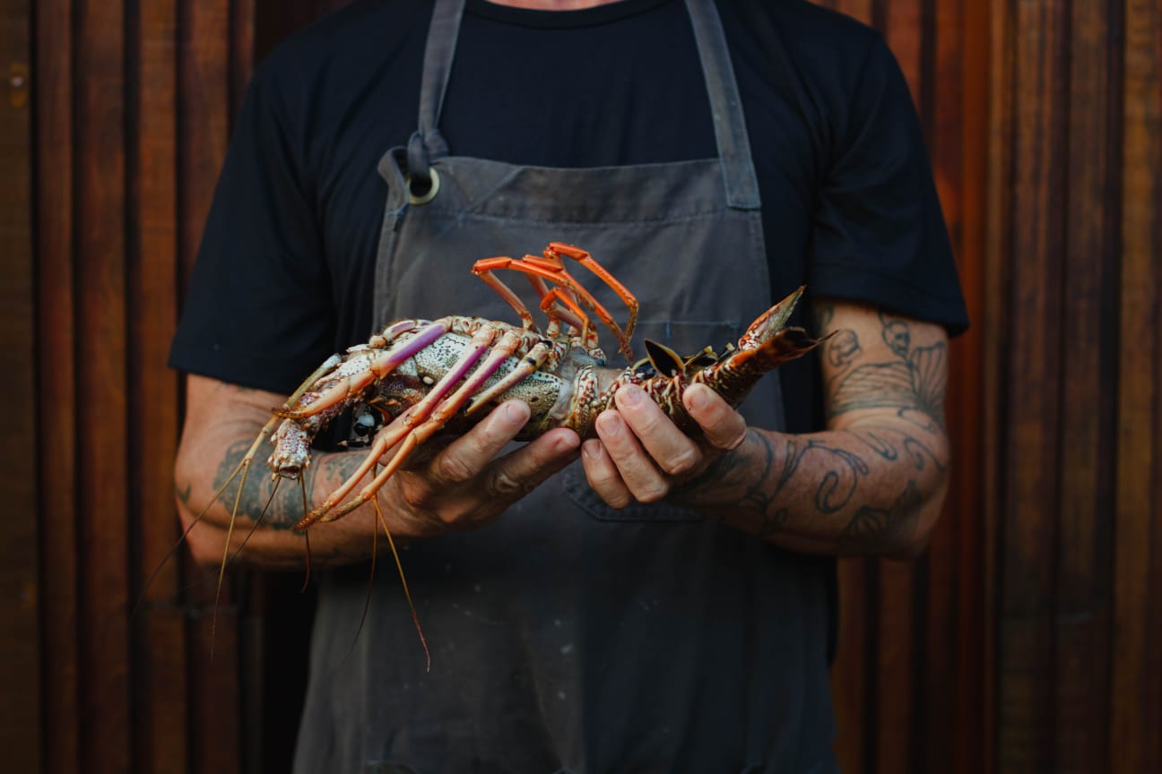 Chef com lagosta